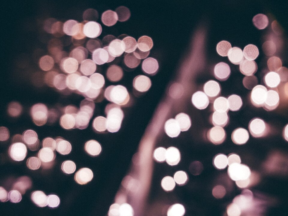 Free stock photo from Tookapic