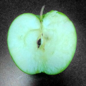 Free stock photo of apple, art, fruit photo