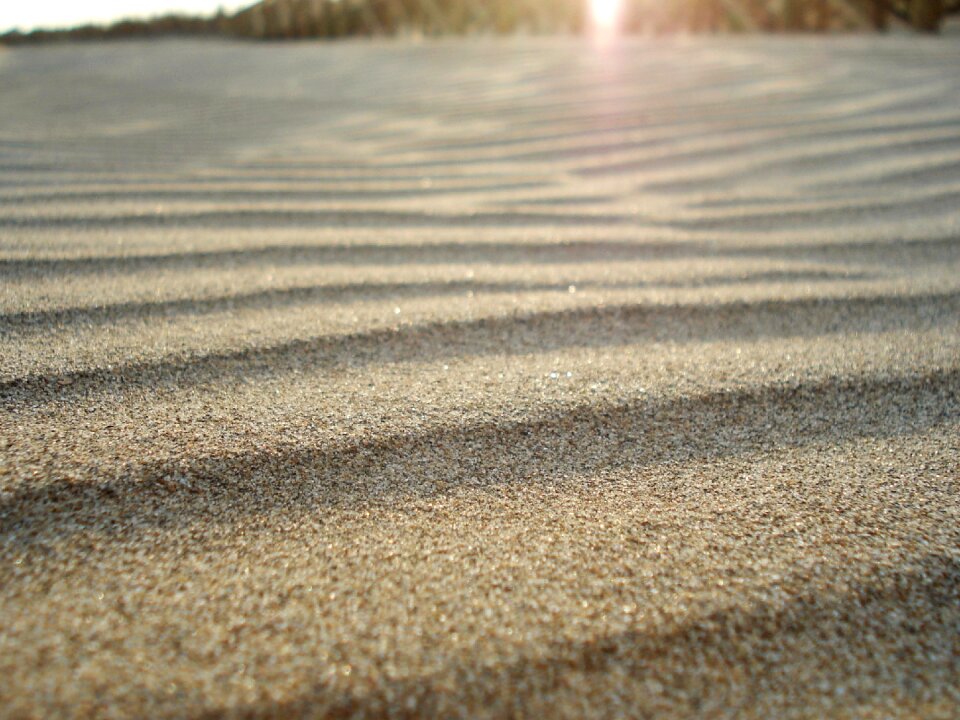 Free stock photo of beach, detail, sand