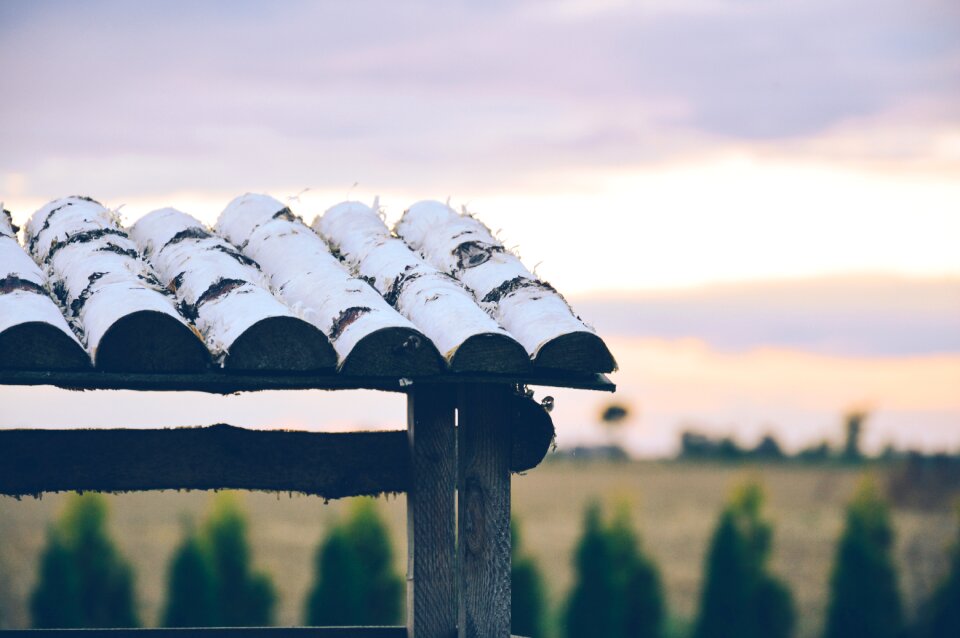 Free stock photo from Tookapic