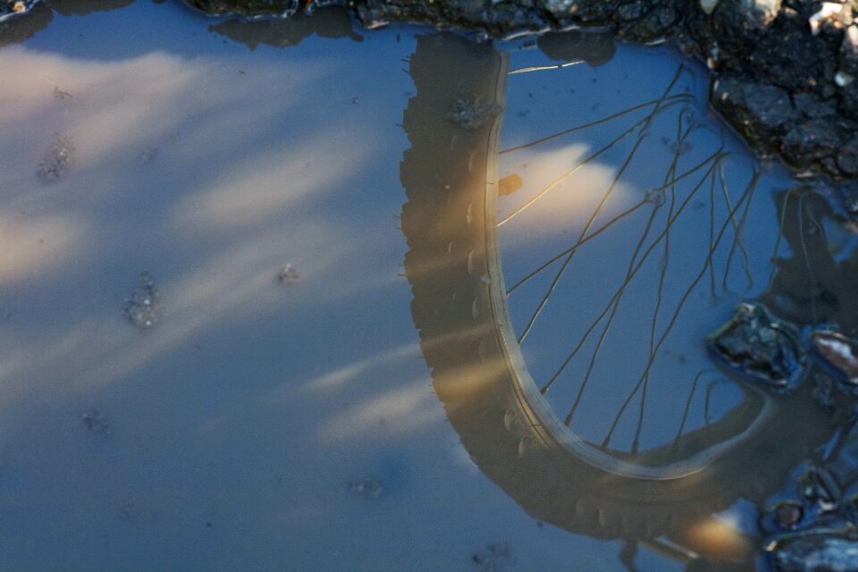 Free stock photo of wheel