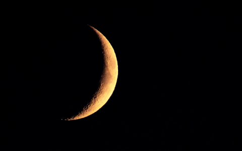 Free stock photo of moon