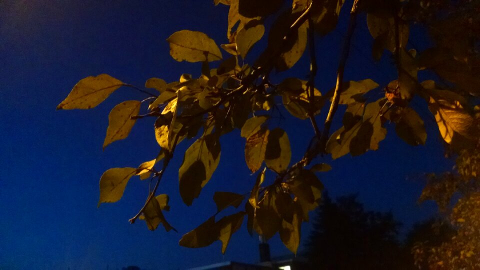 Free stock photo of blue, dark, sky