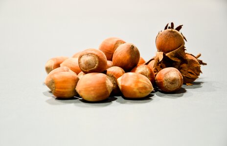 Free stock photo of nuts