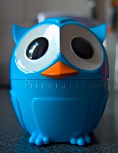 Free stock photo from Tookapic