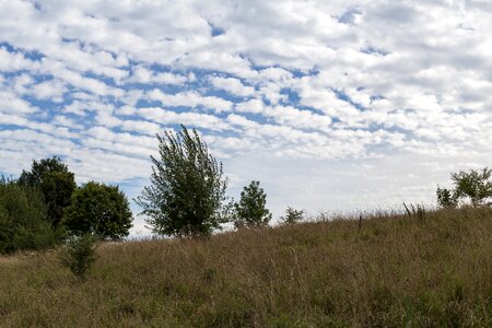 Free stock photo of blue, cloud, clouds photo