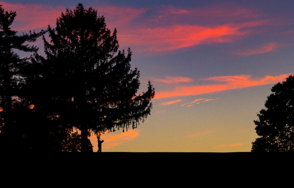 Free stock photo of golf, summer, sunset