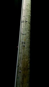 Free stock photo of night, pole