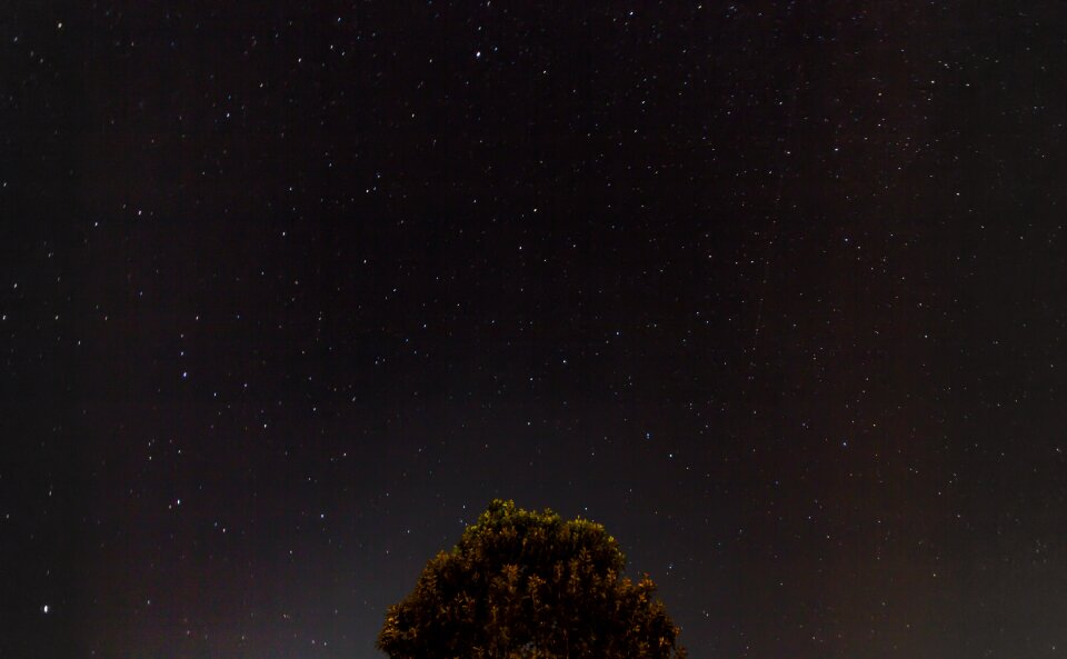 Free stock photo of constellation, dark, night photo