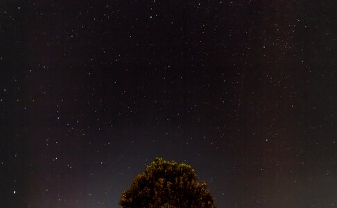 Free stock photo of constellation, dark, night photo