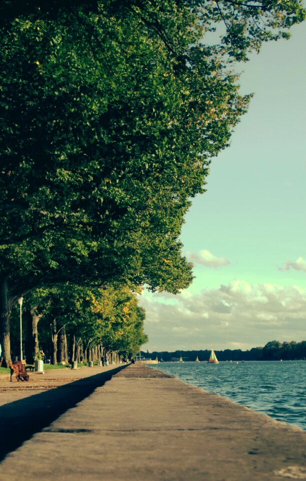 Free stock photo from Tookapic