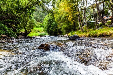 Free stock photo of creek, environment, fall