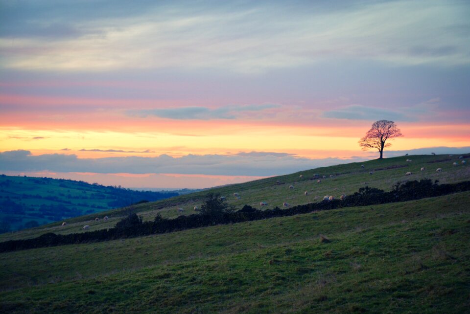 Free stock photo of cloud, hill, sheep