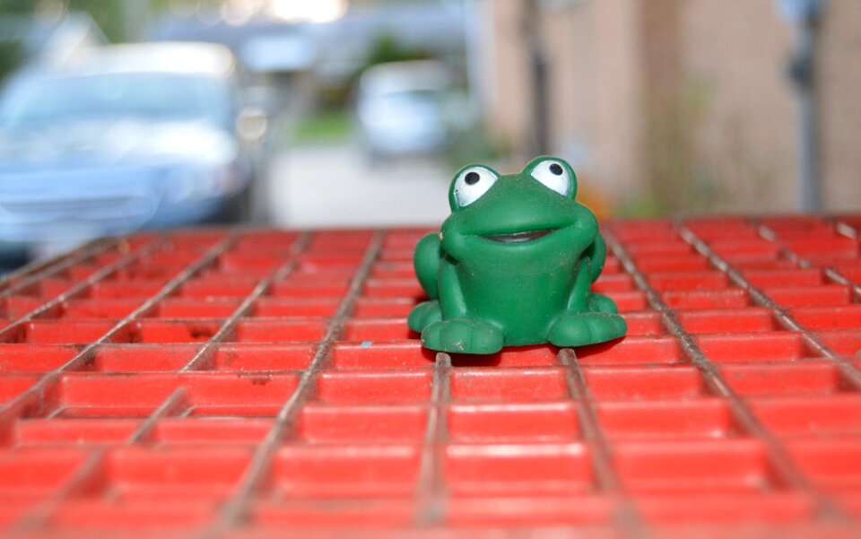 Free stock photo from Tookapic