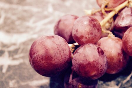 Free stock photo of fruit, grapes