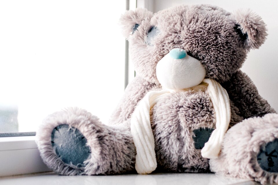 Free stock photo of 50mm, bear, cozy