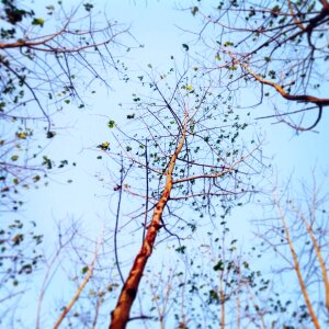 Free stock photo from Tookapic