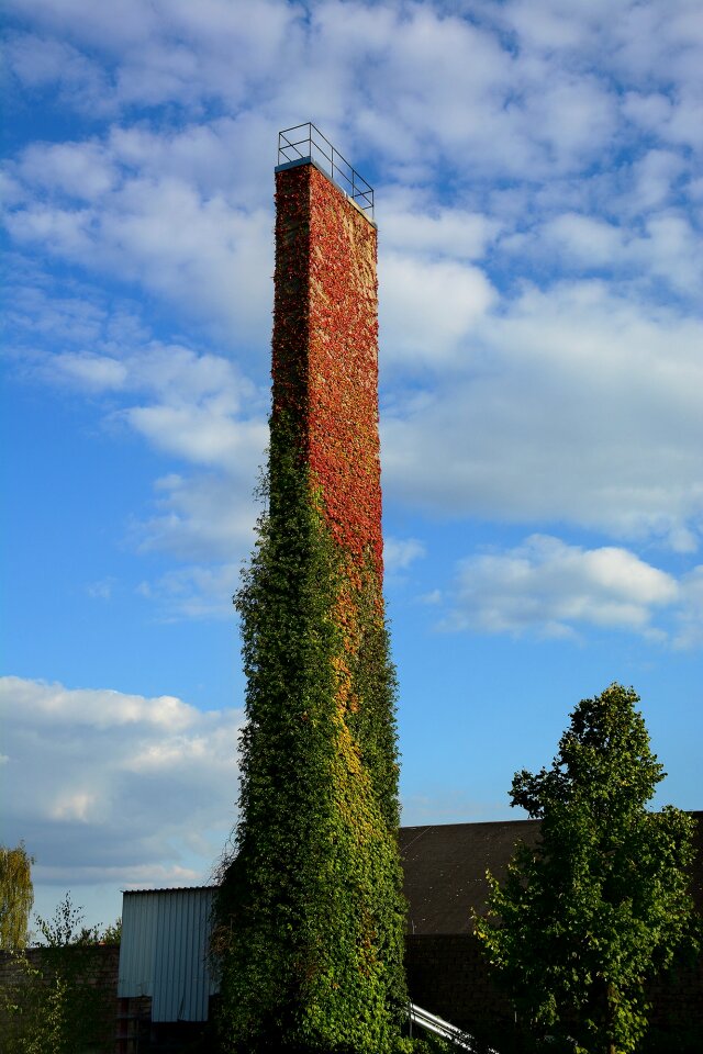Free stock photo of overgrown, tower