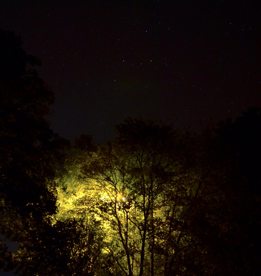 Free stock photo of light, stars, theme night