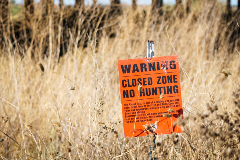 Free stock photo of grass, no hunting, theme signs
