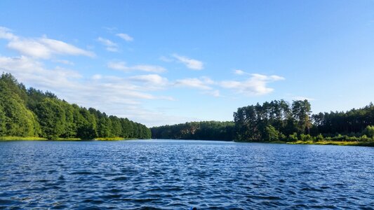 Free stock photo of forest, kayak, kayaking