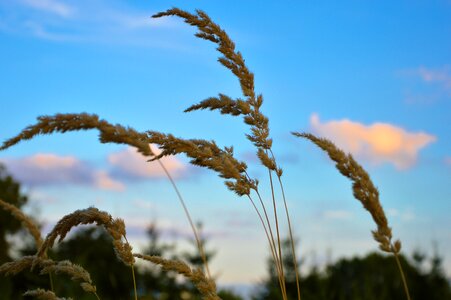 Free stock photo from Tookapic