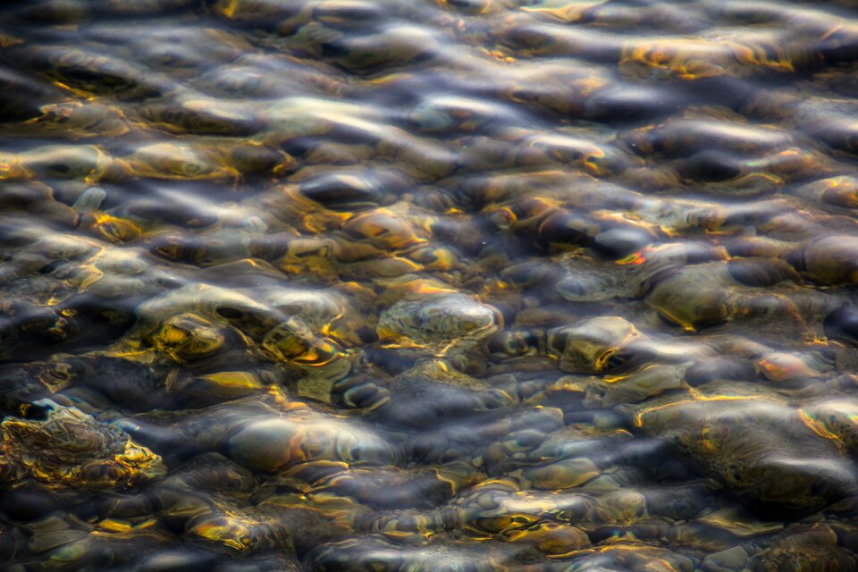 Free stock photo of beach, gold, ocean