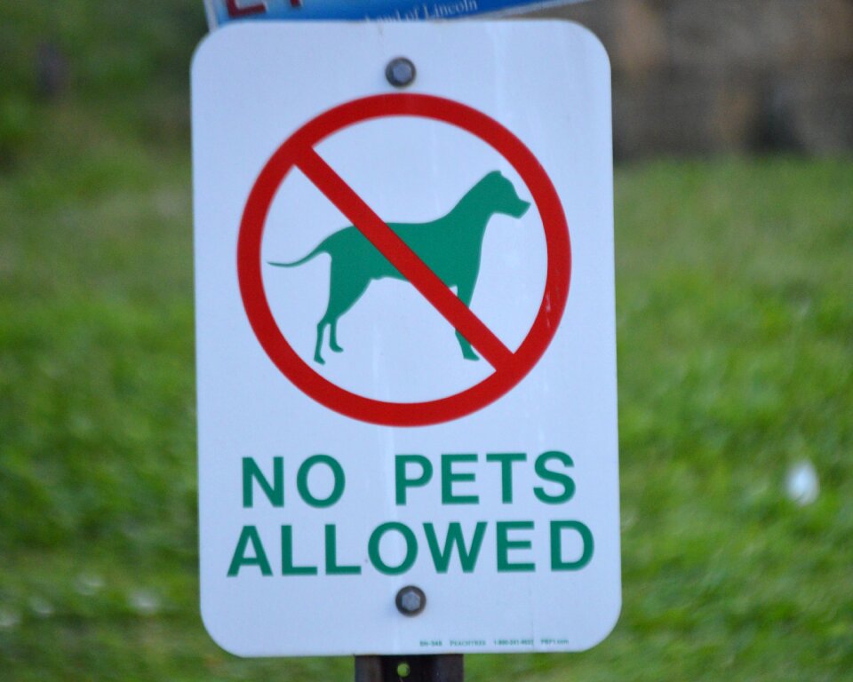 Free stock photo from Tookapic