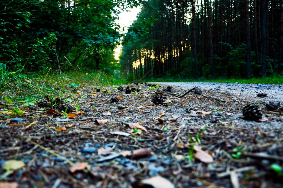 Free stock photo from Tookapic