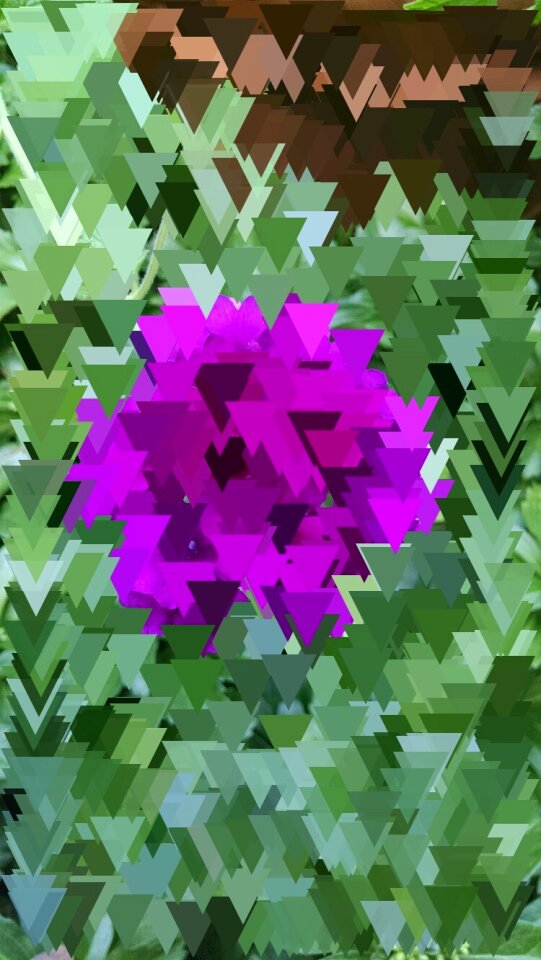 Free stock photo of flower, glitch, Poly