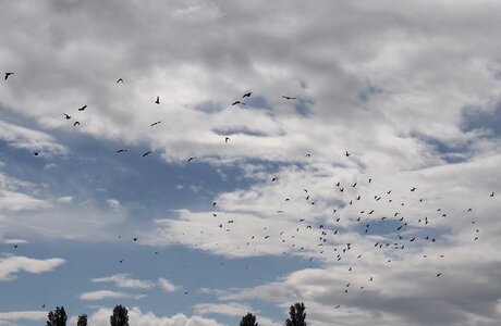 Free stock photo from Tookapic