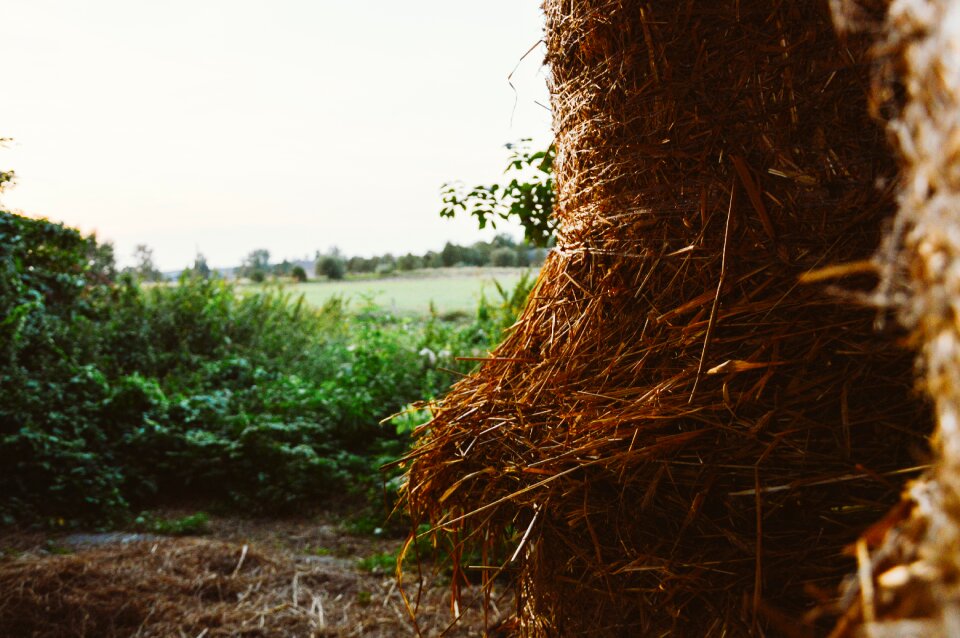 Free stock photo from Tookapic