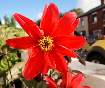 Free stock photo from Tookapic