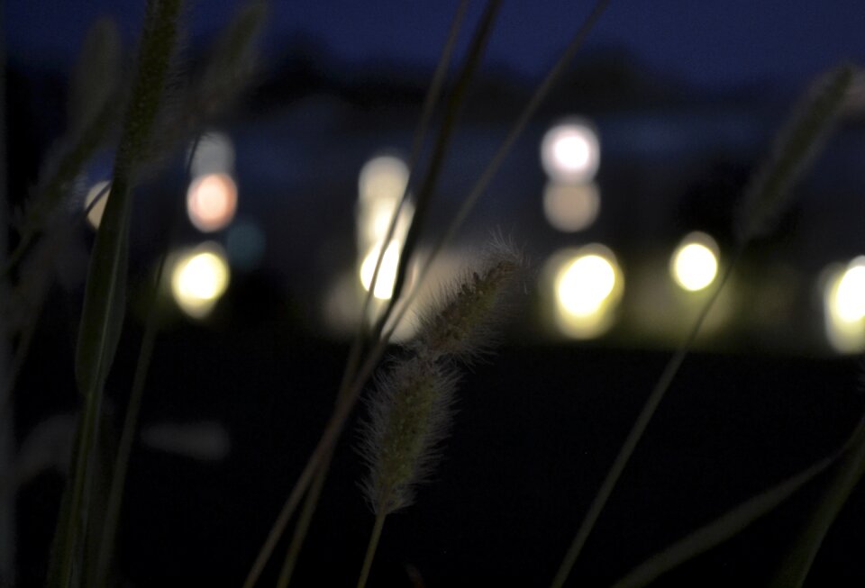 Free stock photo from Tookapic