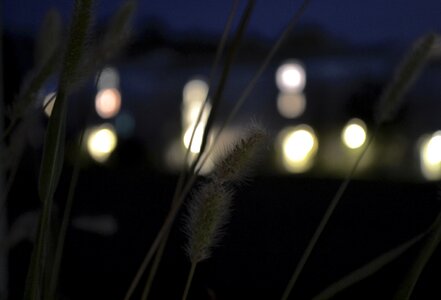 Free stock photo from Tookapic