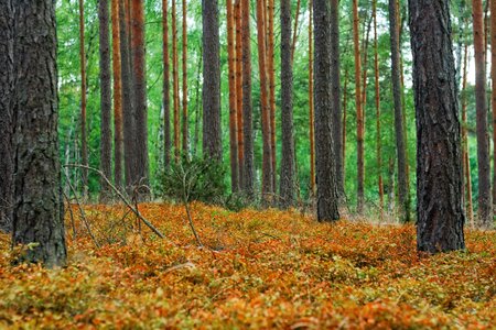 Free stock photo of colours, drought photo