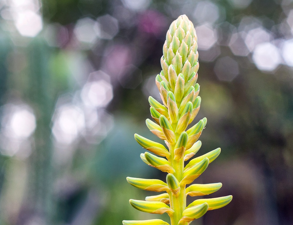 Nature outside macro