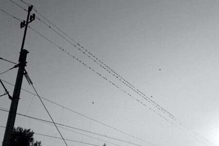 Free stock photo of cables