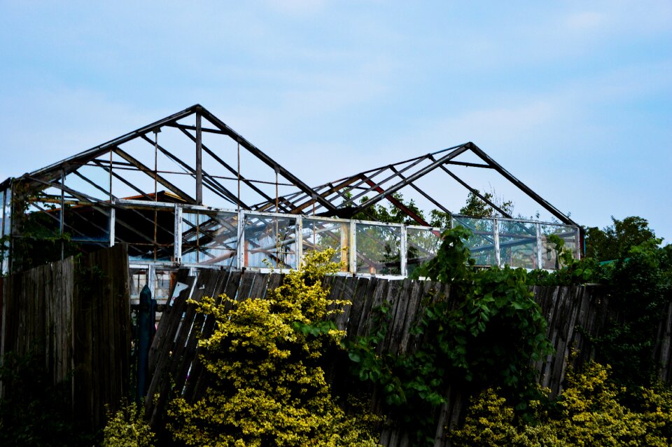 Free stock photo from Tookapic
