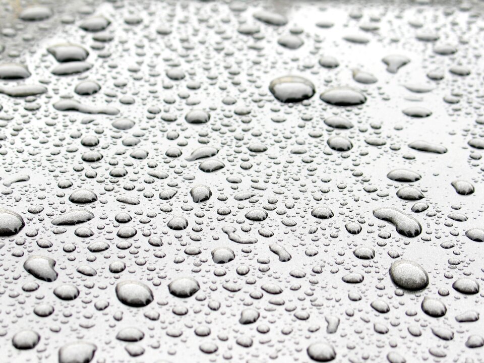 Free stock photo of drops, macro, micro
