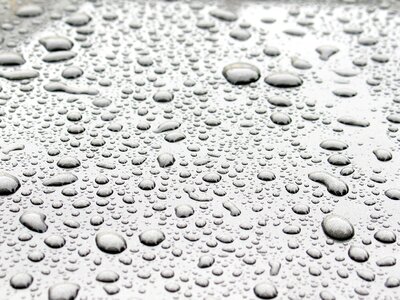 Free stock photo of drops, macro, micro