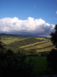 Vineyard landscape tuscany photo