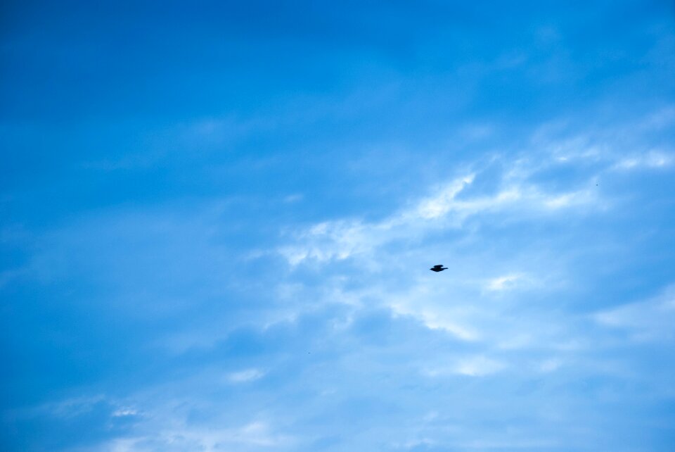 Free stock photo of clouds, sky, theme movement