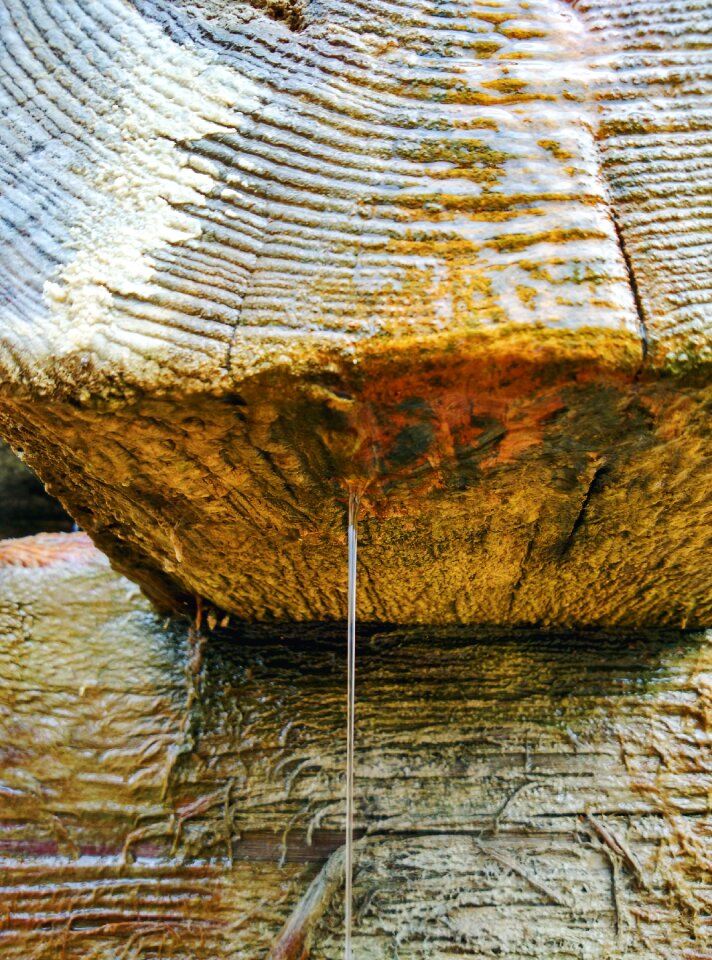Free stock photo of drops, water, wood