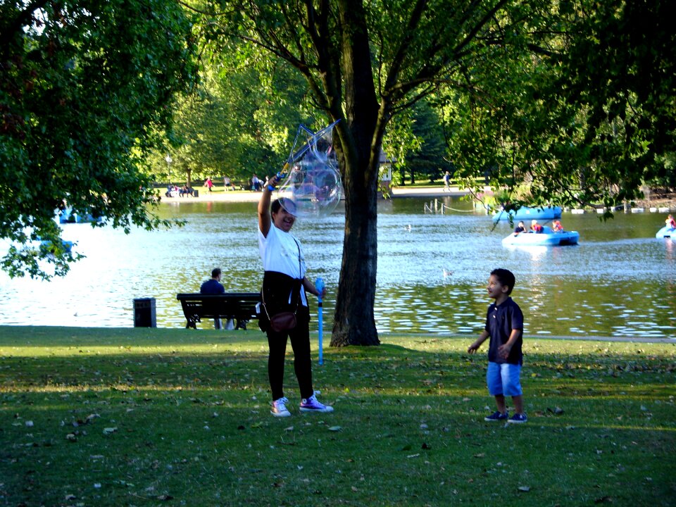 Free stock photo of bubble, child, family