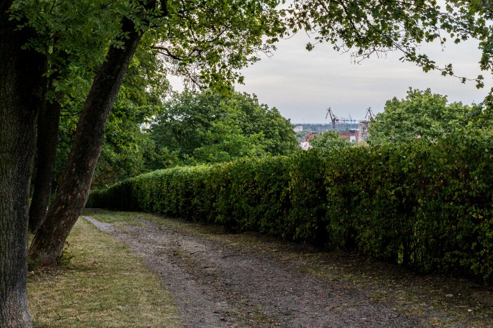 Free stock photo of gdansk, gora, gradowa