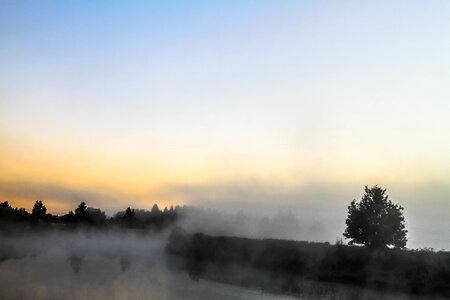 Free stock photo of dawn, fog, night