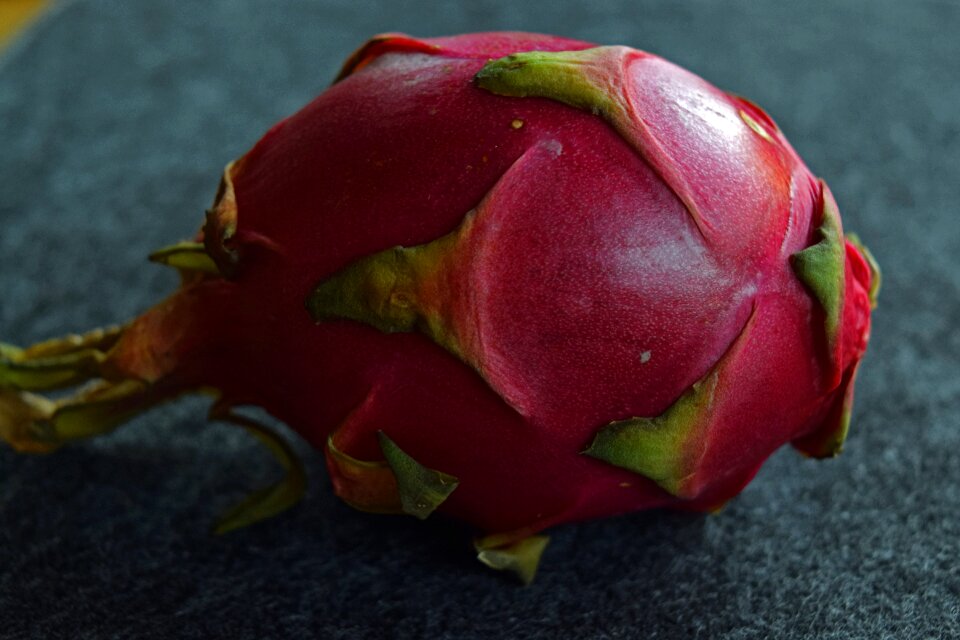Free stock photo of dragon fruit, pitahaya, pitaja
