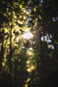 Free stock photo from Tookapic