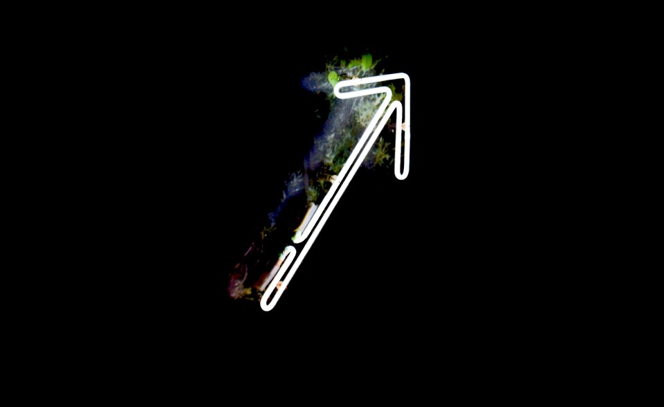 Free stock photo of arrow, neon, warsaw